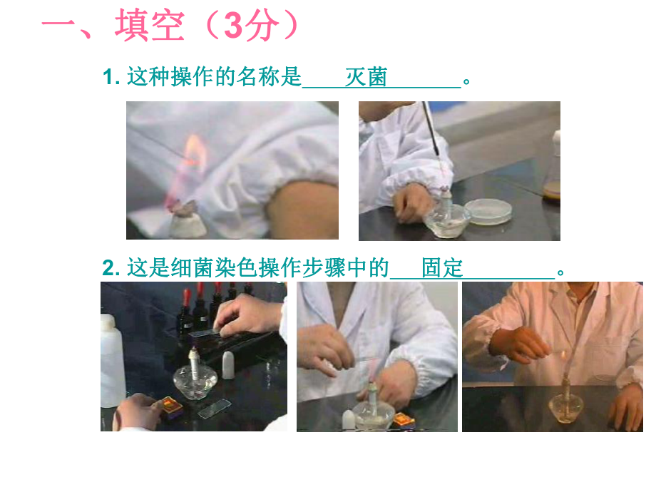 微生物实验试题A.ppt_第3页