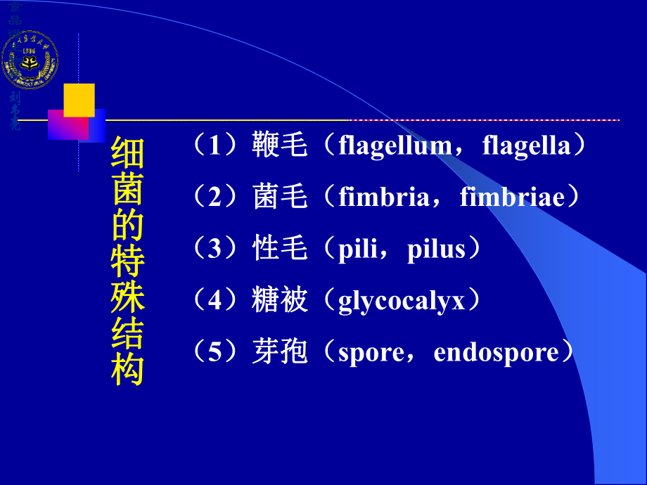 微生物详细介绍.ppt_第2页