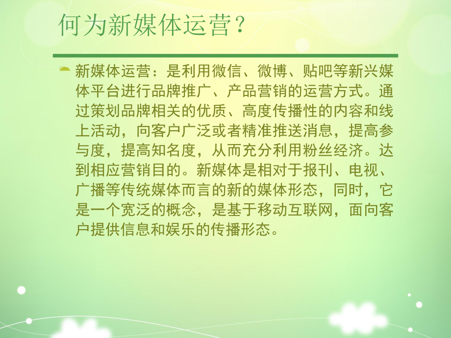 新媒体运营方案.ppt_第2页