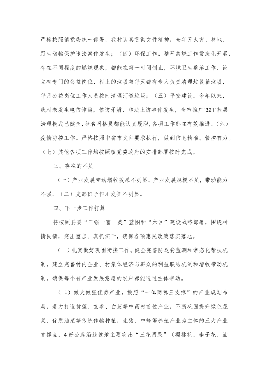 村党支部书记抓党建工作述职报告.docx_第3页