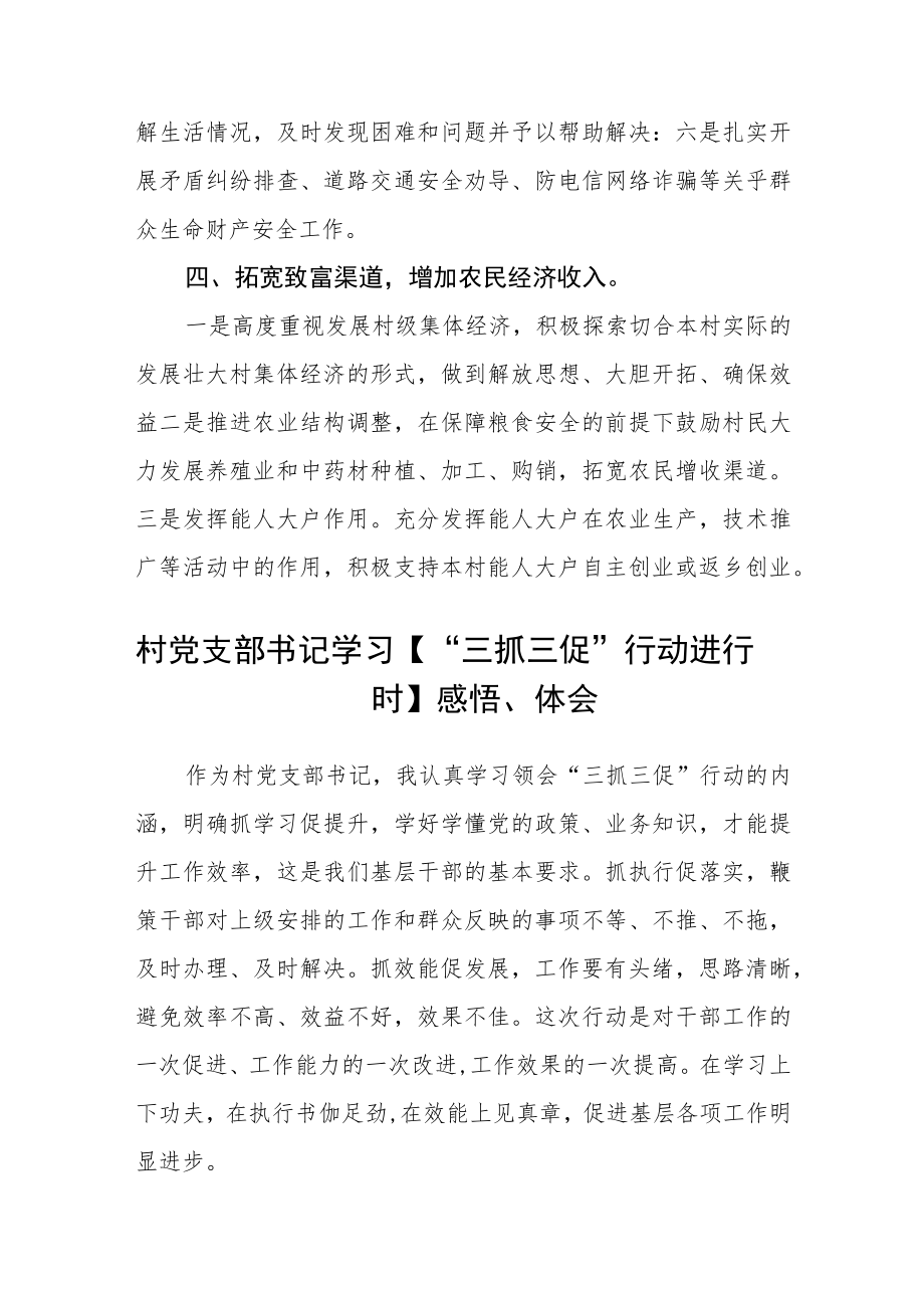 村党支部书记【“三抓三促”行动进行时】心得体会三篇模板.docx_第3页