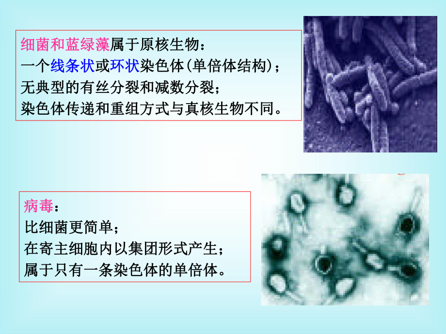 微生物遗传学.ppt_第2页