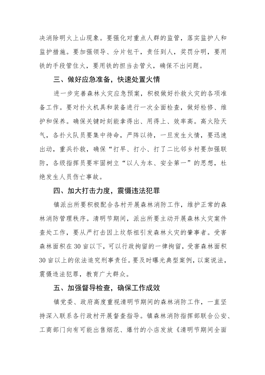 乡镇2023年清明期间森林消防工作方案.docx_第2页