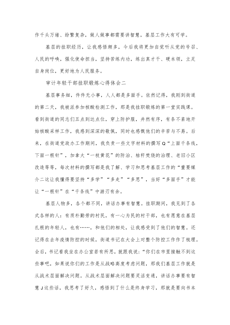 审计年轻干部挂职锻炼心得体会2篇.docx_第2页