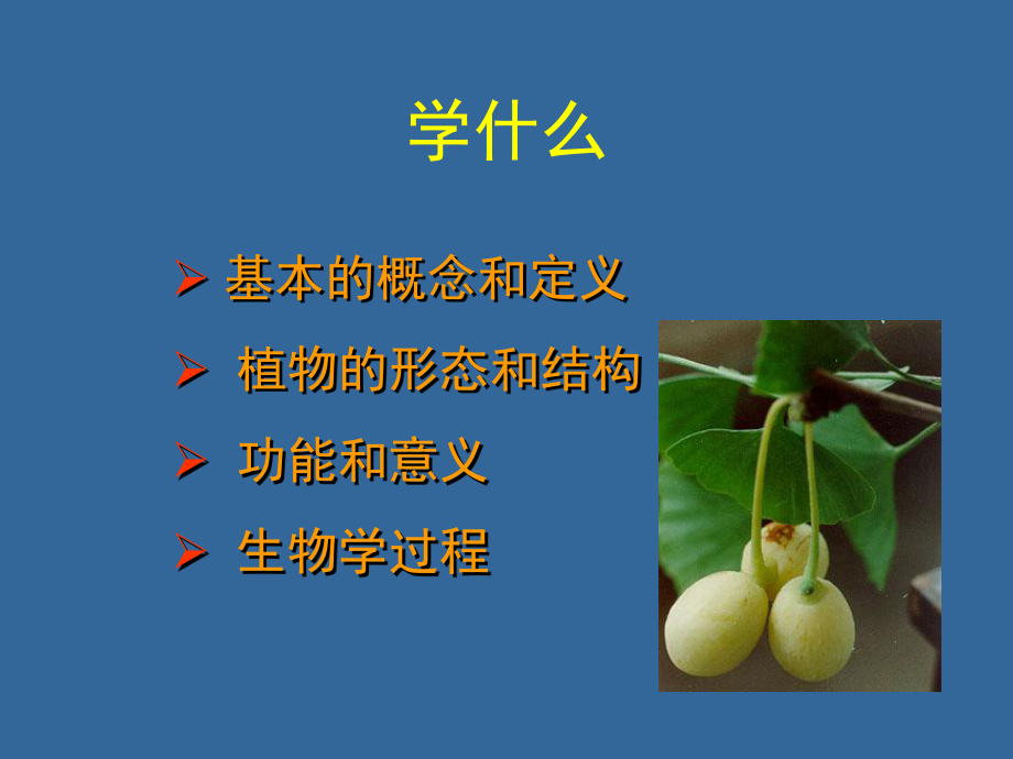 植物生物学绪论.ppt_第2页