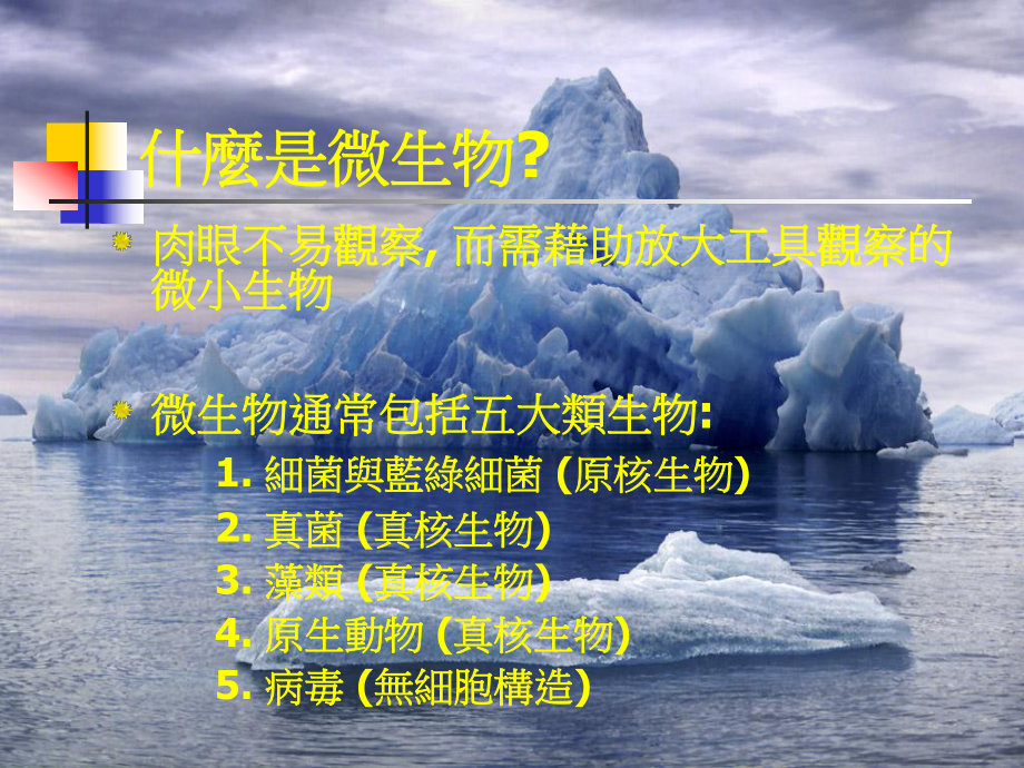 有趣的微生物世界.ppt_第2页