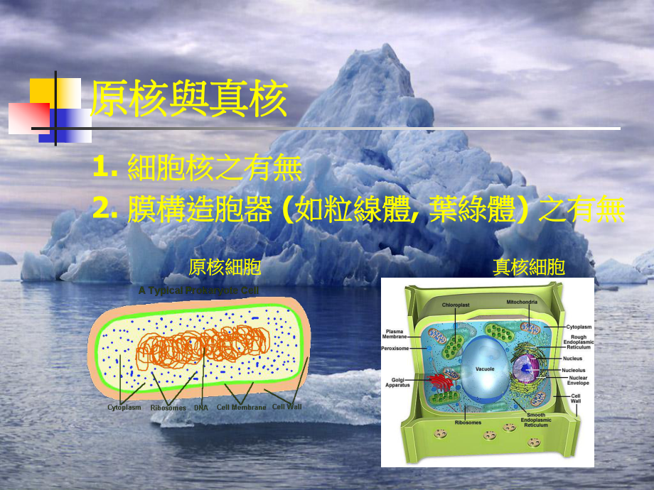 有趣的微生物世界.ppt_第3页