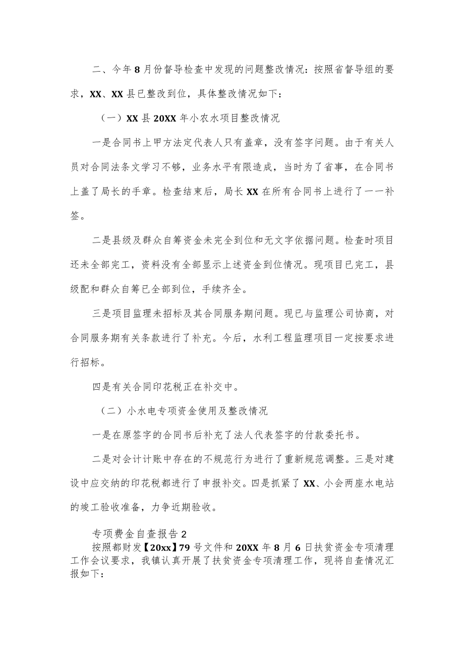 专项资金自查报告合集范文3篇.docx_第2页