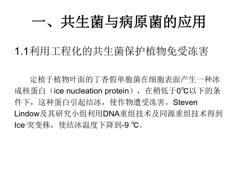 植物与微生物的相互作用.ppt_第2页