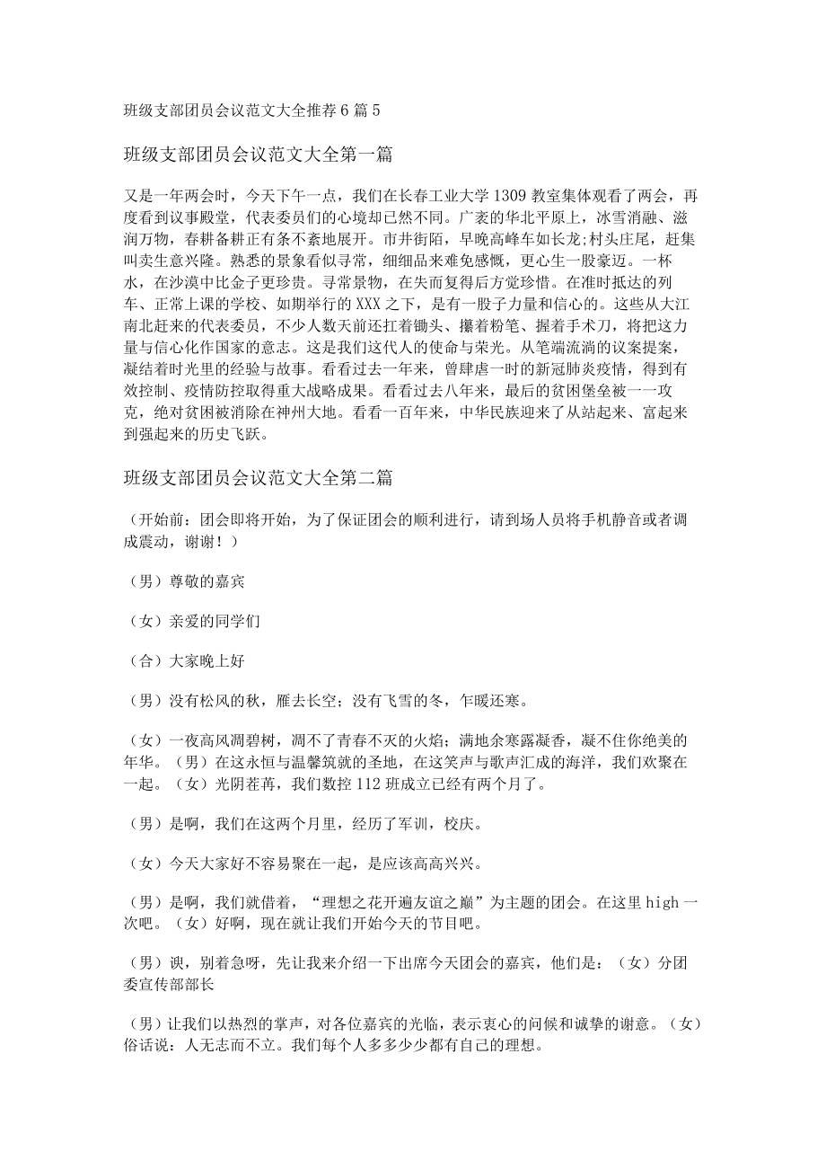 班级支部团员会议范文大全推荐6篇.docx_第1页