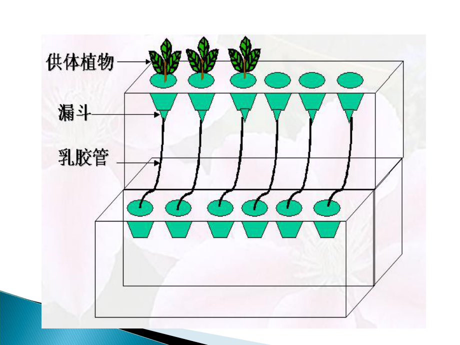 生物统计学.ppt_第3页