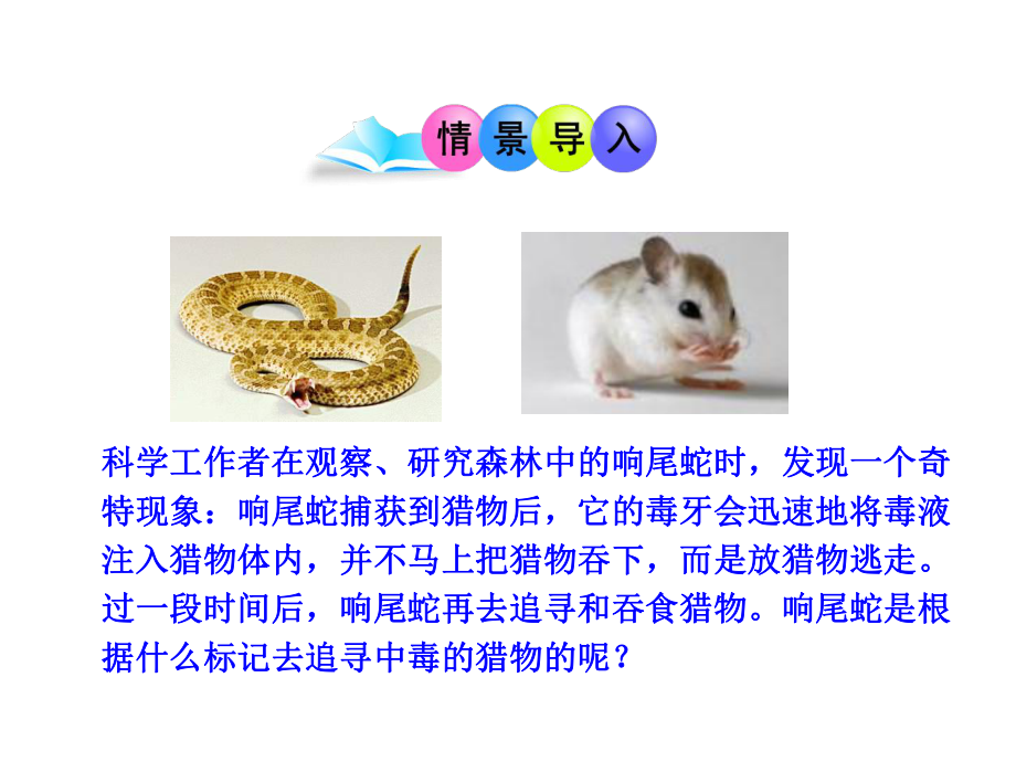 生物学研究的基本方法.ppt_第3页