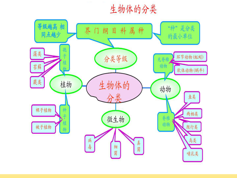 生命科学(微生物).ppt_第3页