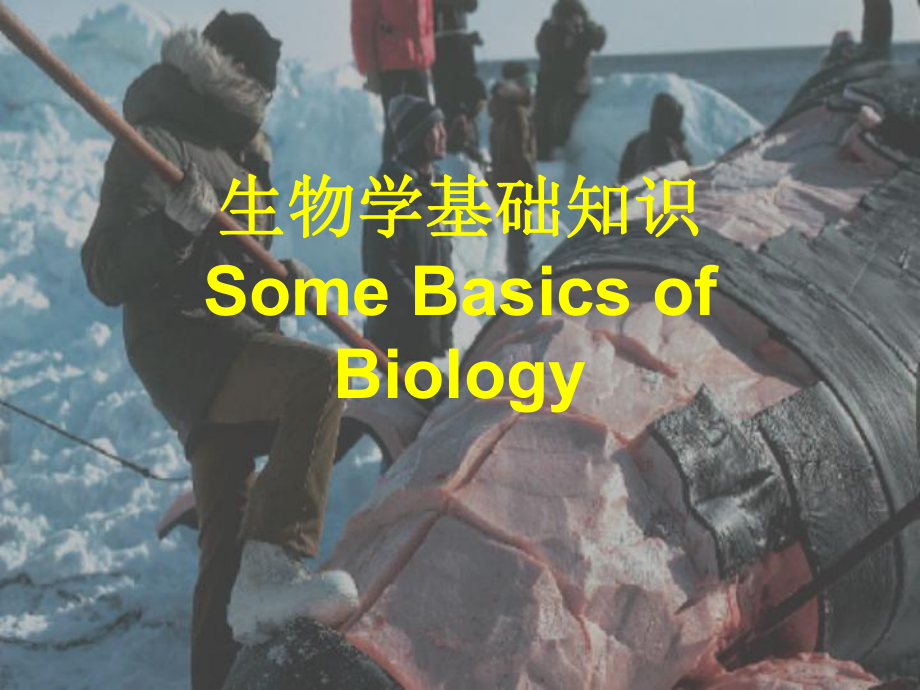 生物学基础知识.ppt_第1页