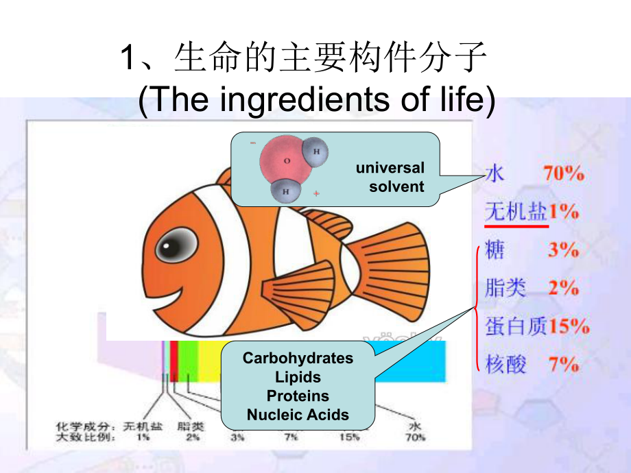 生物学基础知识.ppt_第3页