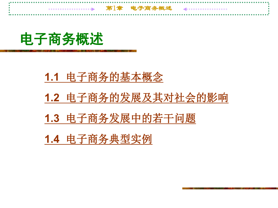 电子商务概述ppt.ppt_第1页