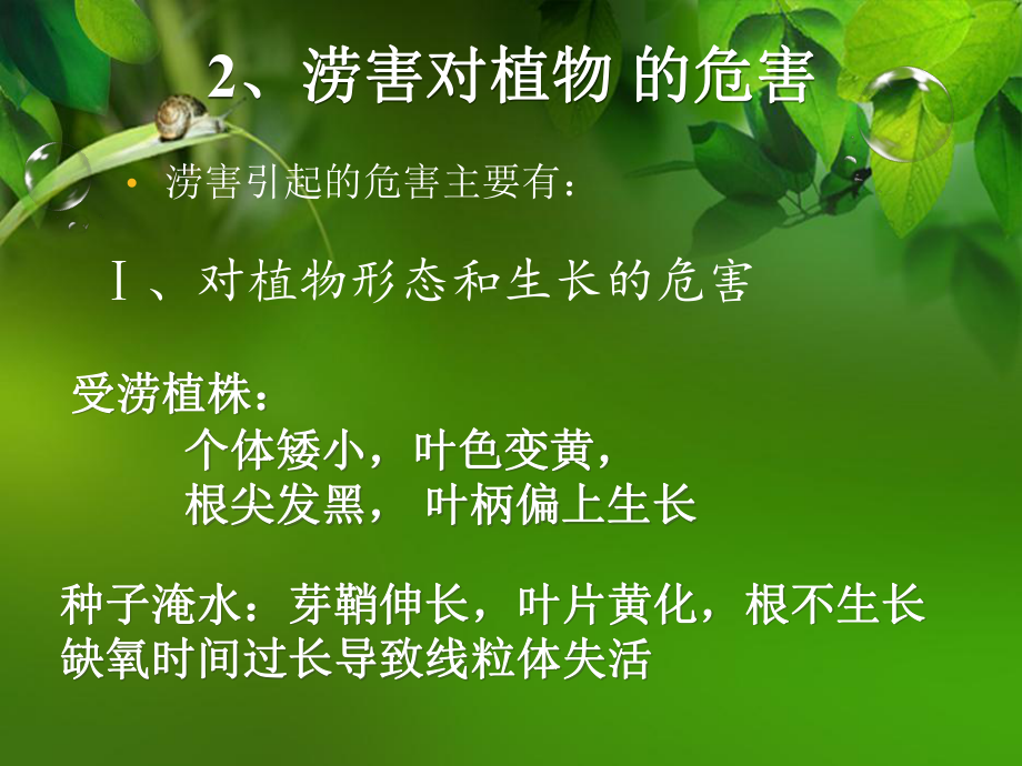 植物生理学PPT.ppt_第3页