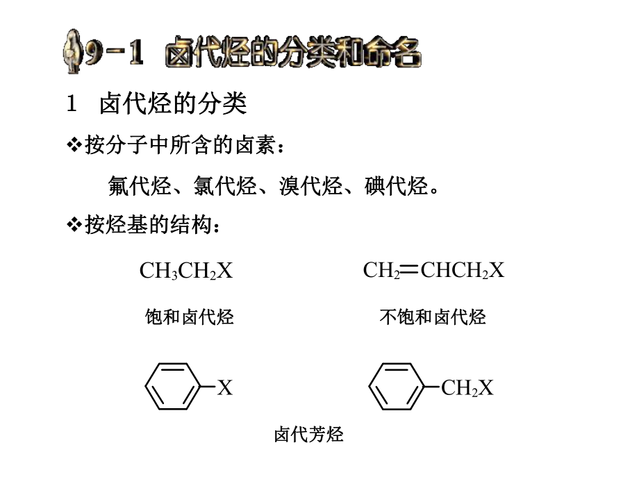 有机化学卤代烃.ppt_第3页