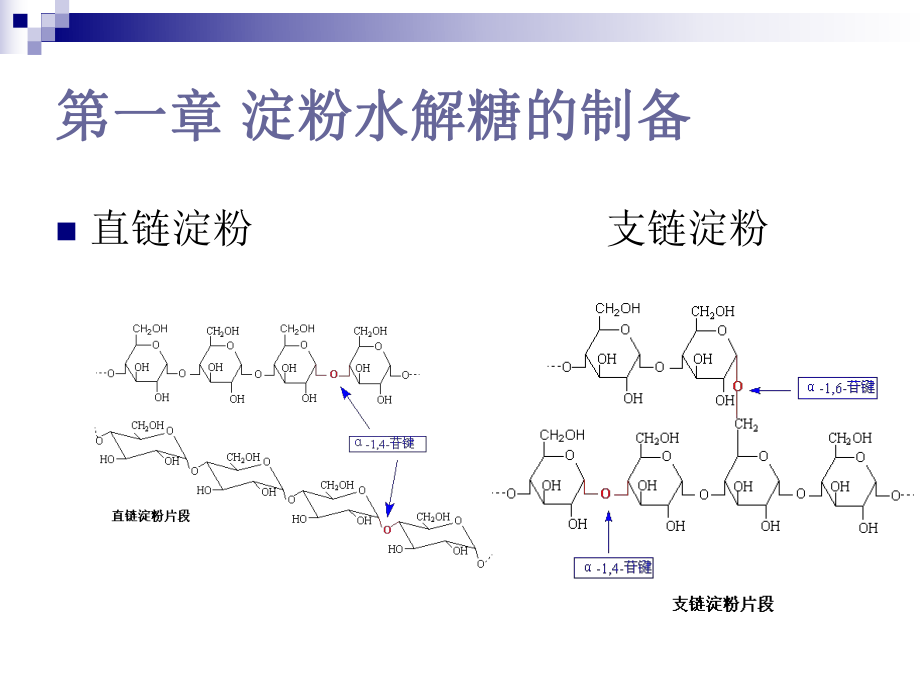 氨基酸工艺学复习题.ppt_第2页