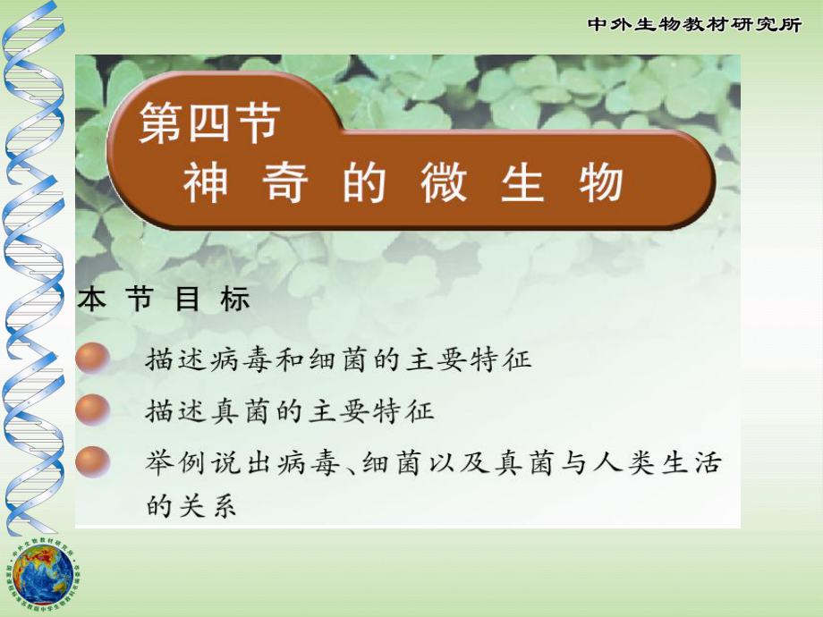 神奇的微生物.ppt_第1页