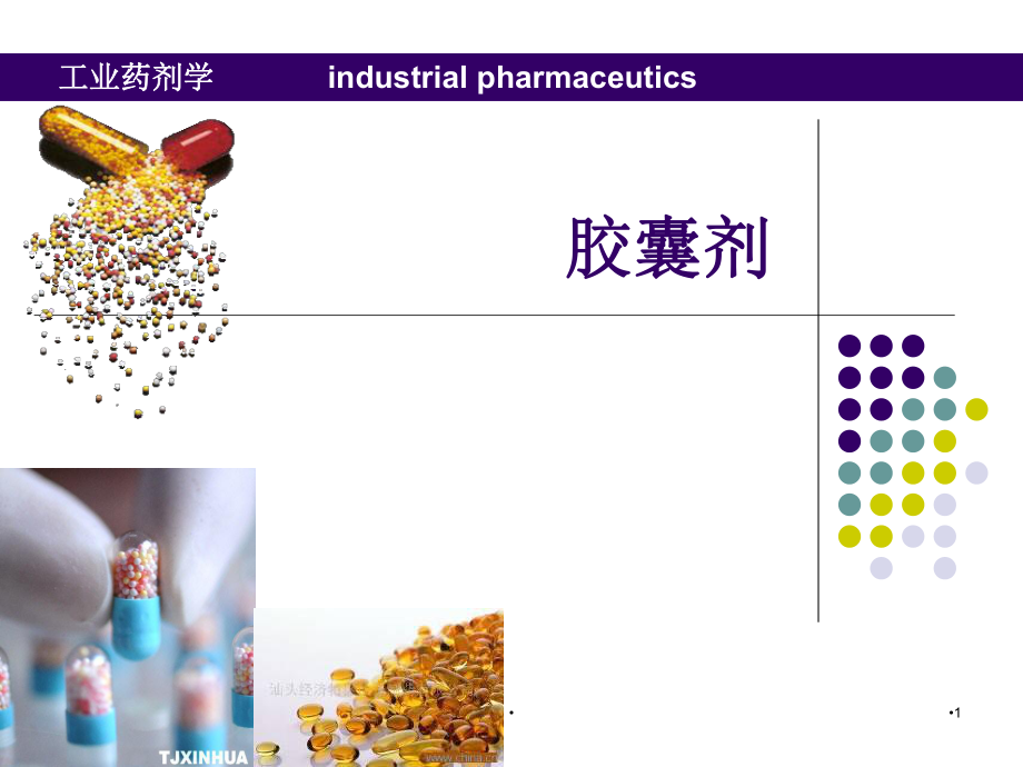 胶囊剂PPT医学课件.ppt_第1页