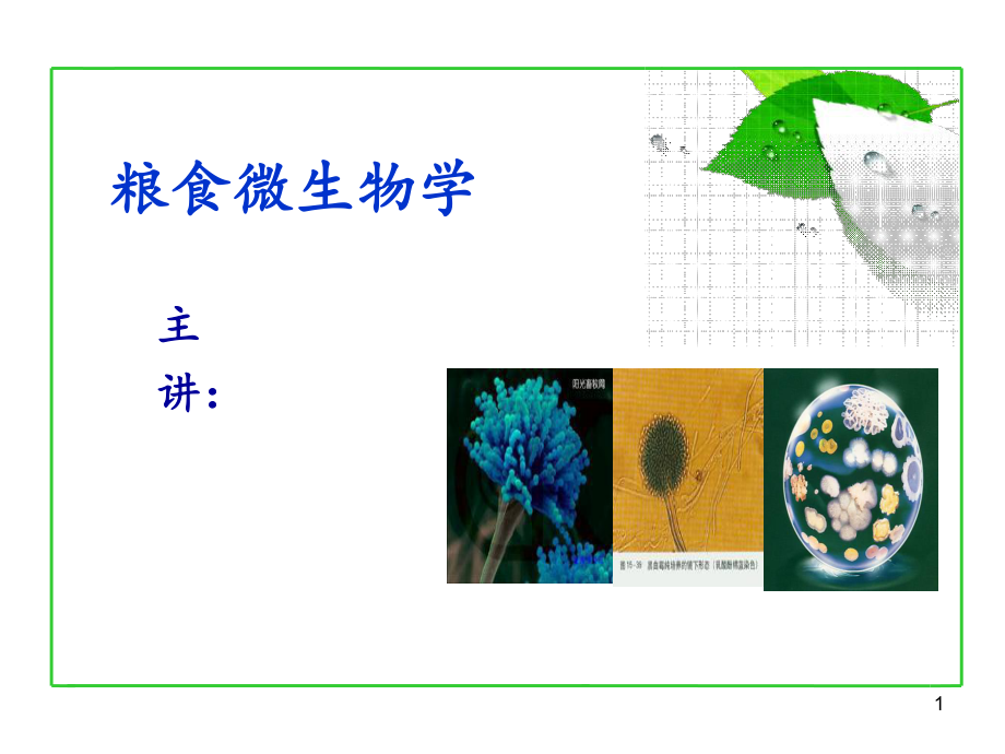 粮食微生物的形态.ppt_第1页