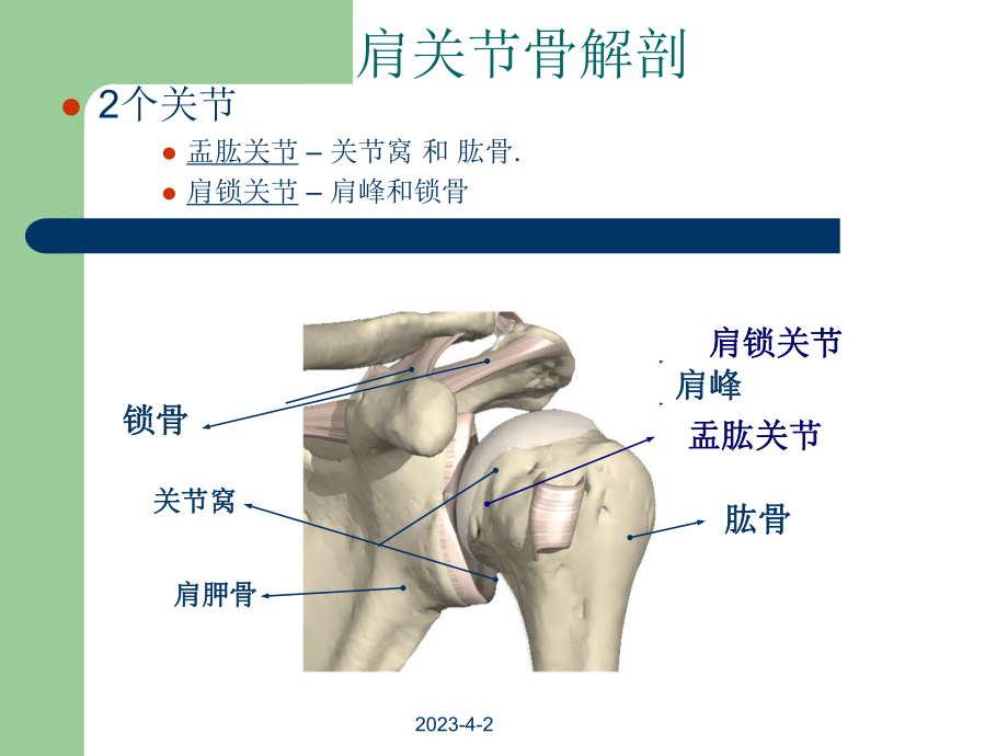 肩关节解剖与疾病诊断医学PPT课件.ppt_第3页