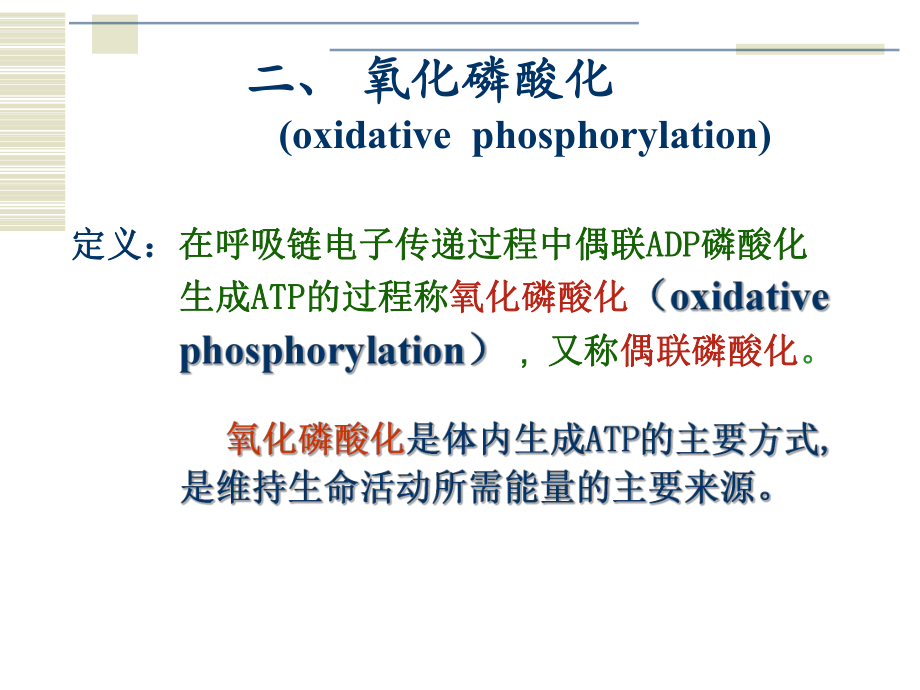 生物化学：生物氧化.ppt_第2页