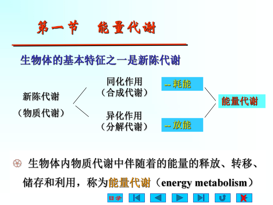 生理学能量代谢.ppt_第2页