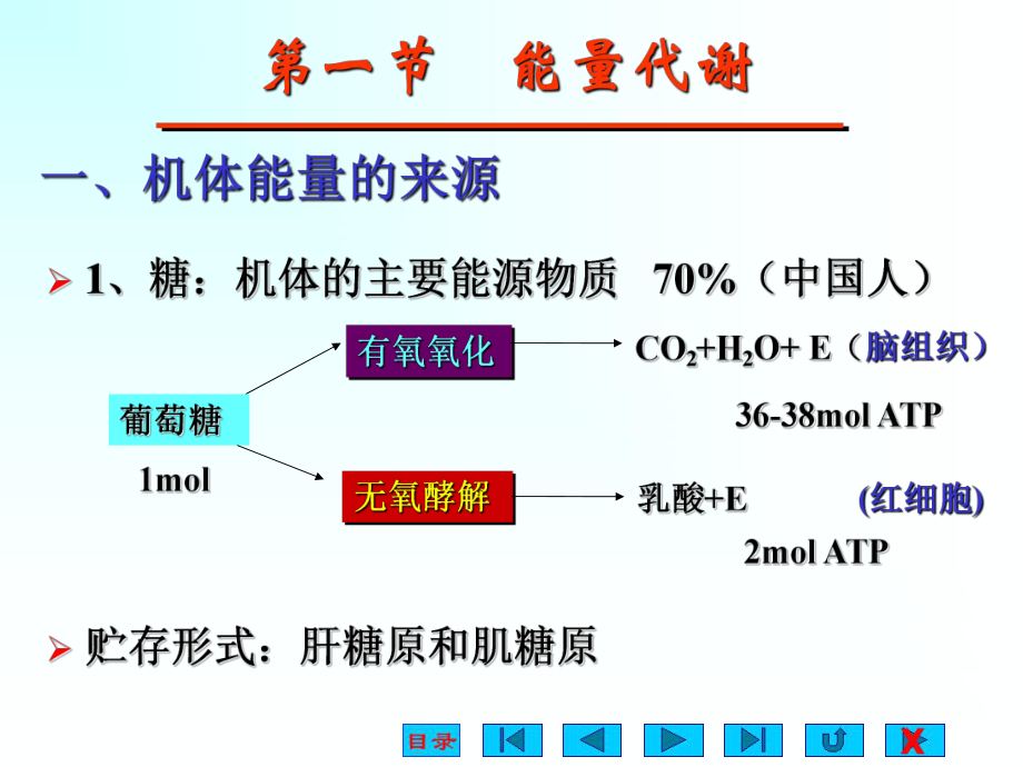 生理学能量代谢.ppt_第3页