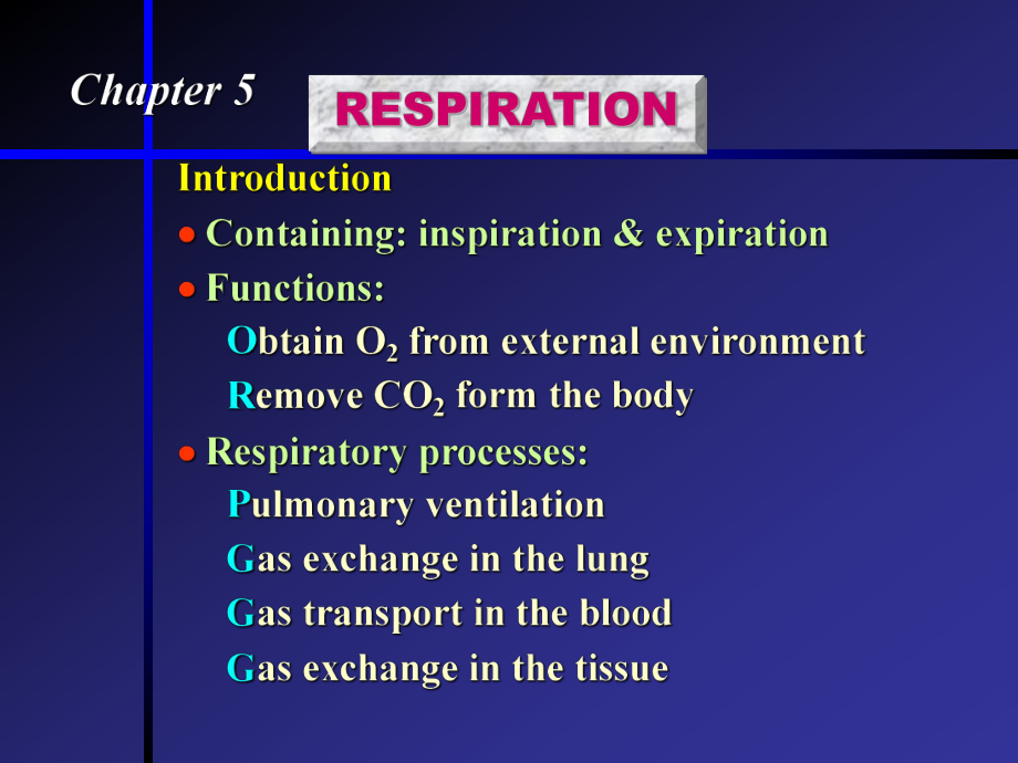 生理学之呼吸系统.ppt_第1页