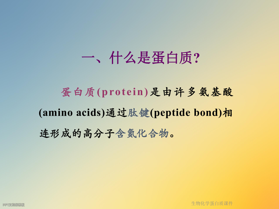 生物化学蛋白质课件.ppt_第2页