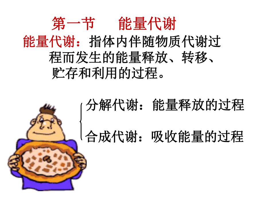 生理学能量代谢.ppt_第2页