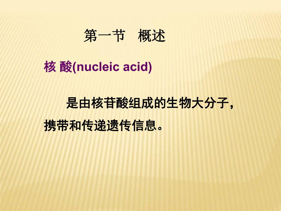 生物化学核酸课件.ppt_第2页