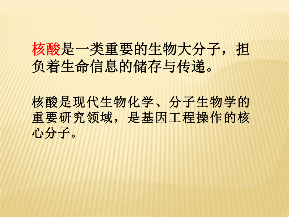 生物化学核酸课件.ppt_第3页