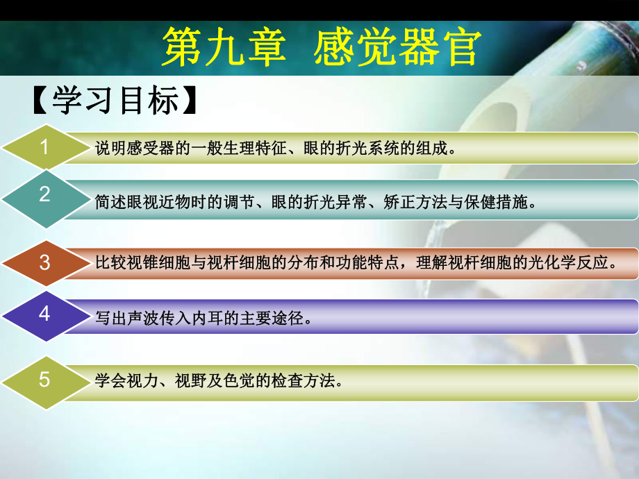 生理学课件第九章.ppt_第1页