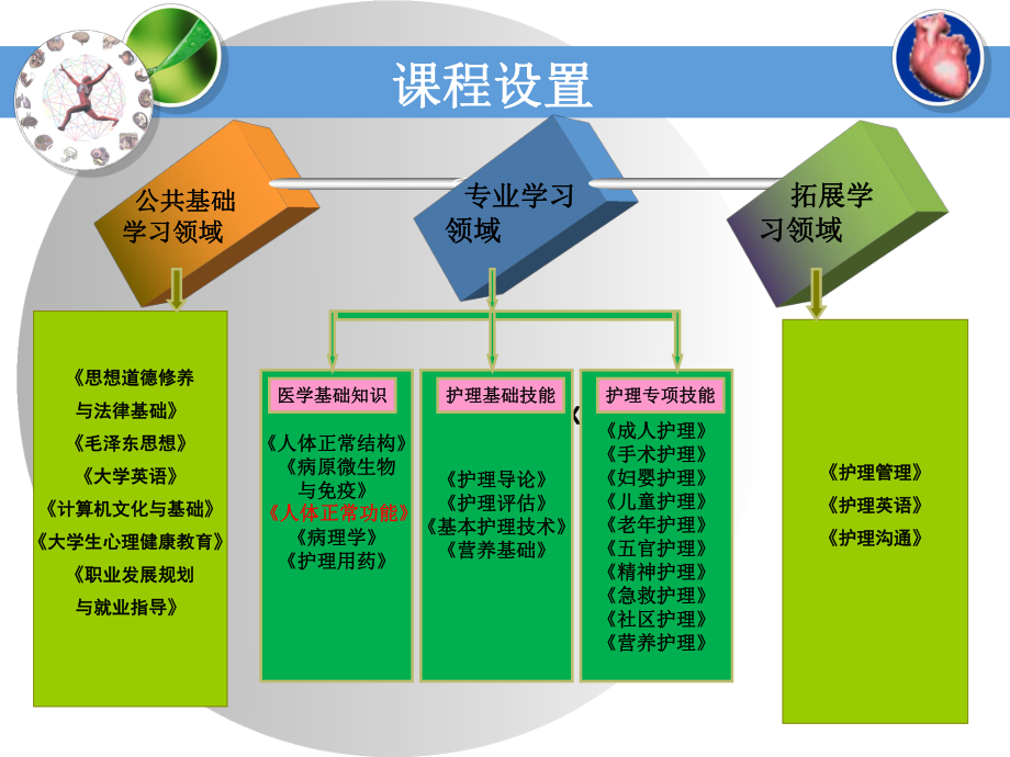 生理学说课ppt.ppt_第3页