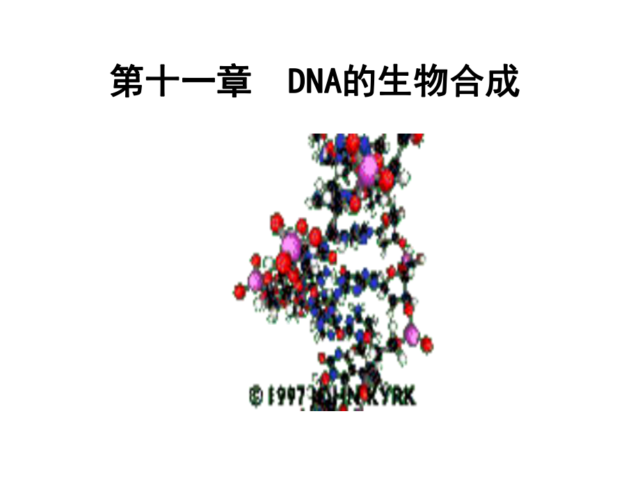 生物化学DNA的生物合成.ppt_第3页