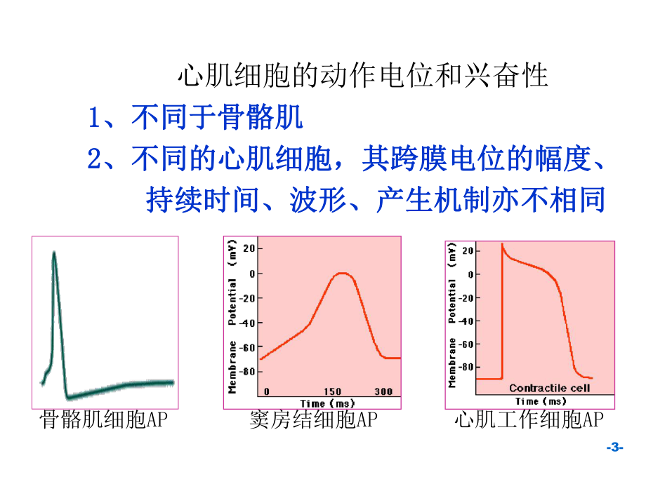 生理学血液循环章.ppt_第3页