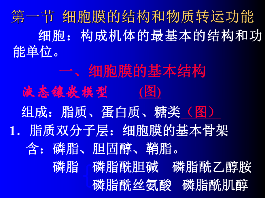 生理学课件细胞生理学.ppt_第2页