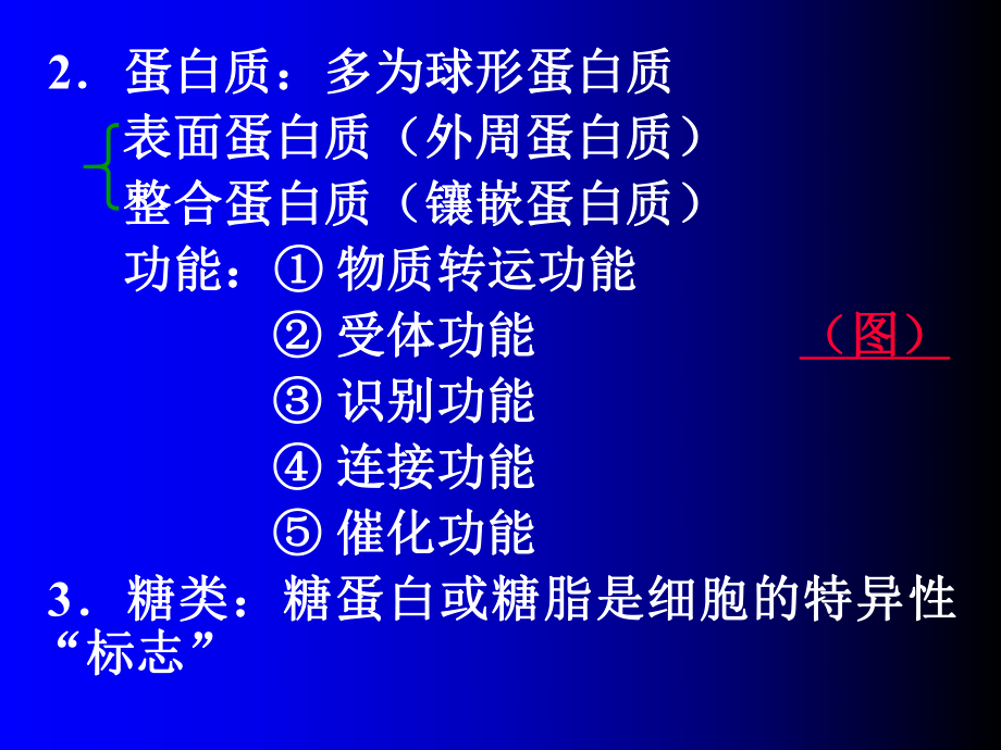 生理学课件细胞生理学.ppt_第3页