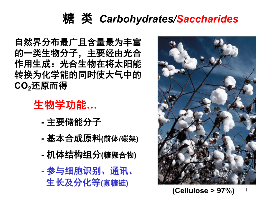 生物化学糖类ppt.ppt_第1页