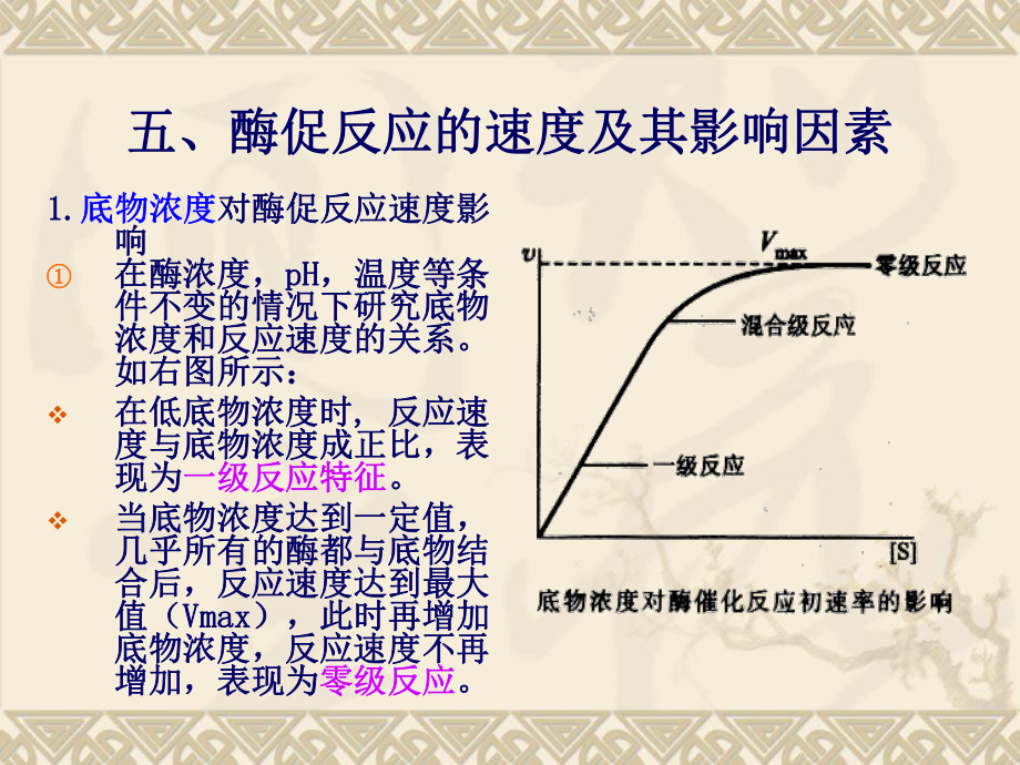 生物化学课件.ppt_第1页