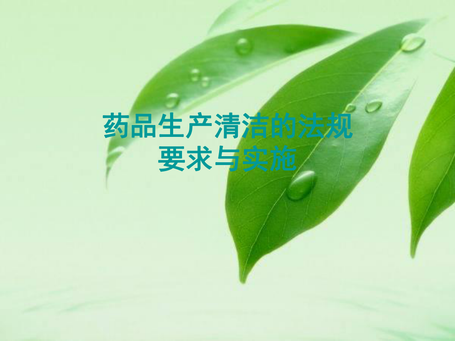 清洁验证课件.ppt_第1页