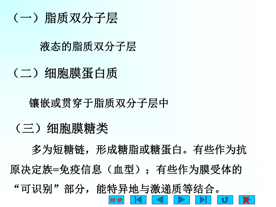 生理学课件2.ppt_第3页