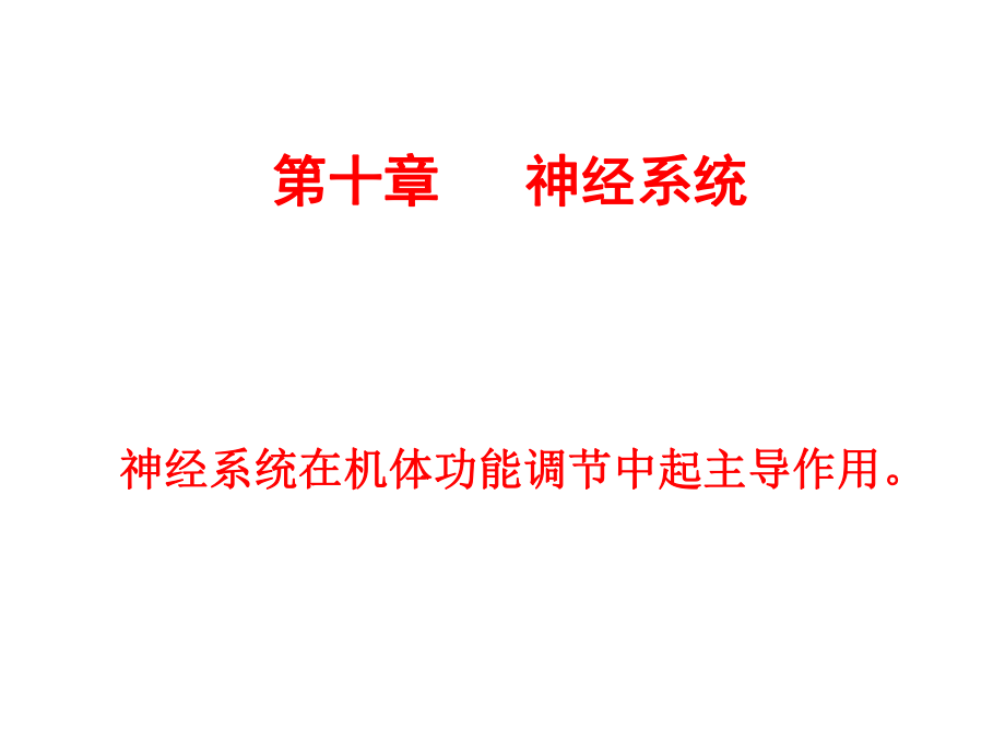 生理学神经系统.ppt_第3页