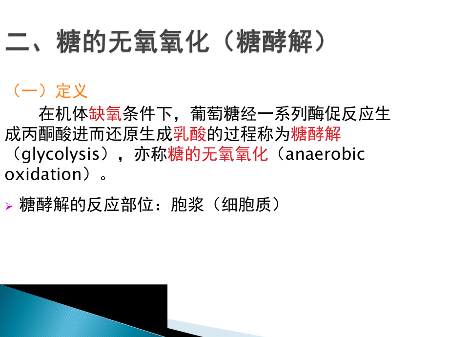 生物化学重点整理.ppt_第2页