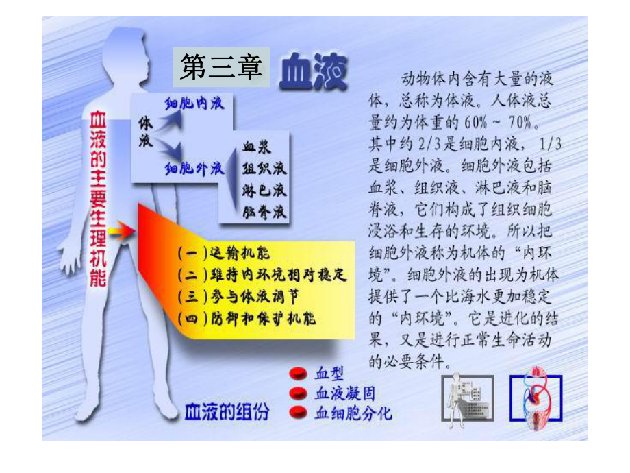 生理学血液.ppt_第1页