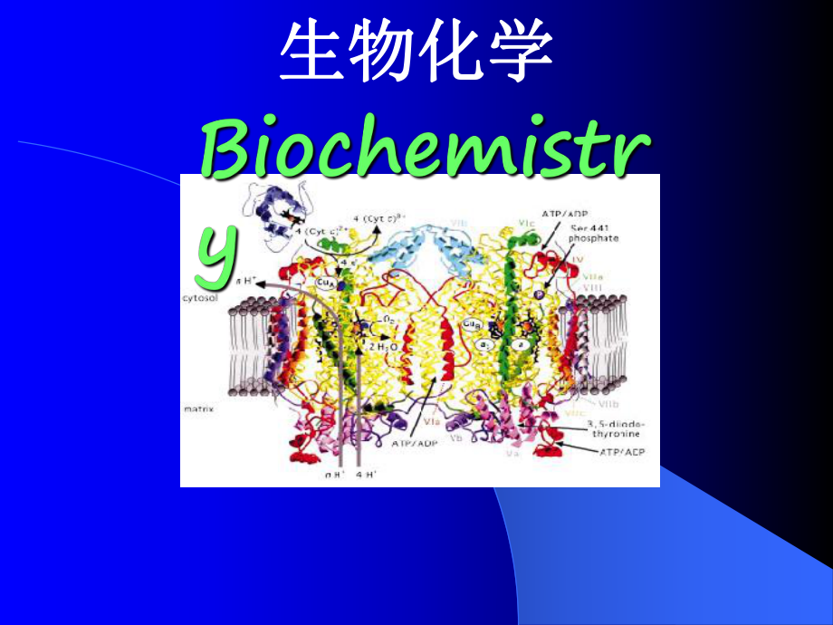 生物化学0226.ppt_第1页