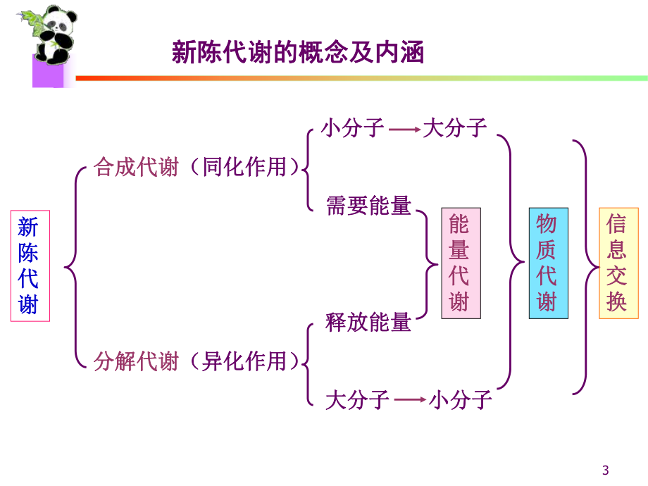 生物化学课件生物氧化.ppt_第3页